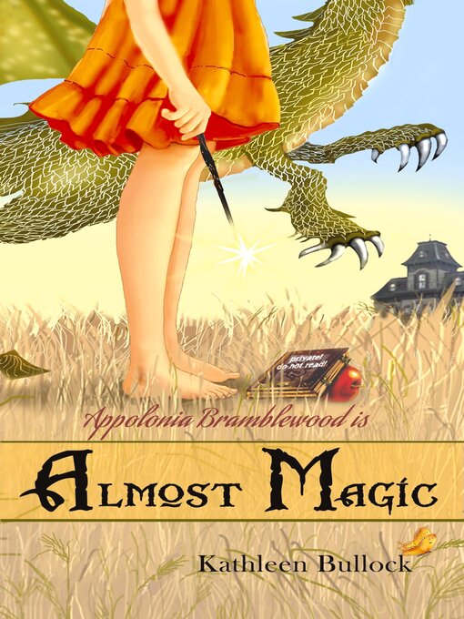 Cover image for Almost Magic